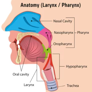 nose-cancer